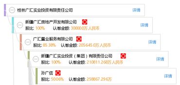 桂林廣匯實業投資有限責任公司