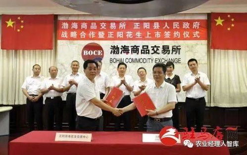 2月1日即將在鄭州商品交易所上市交易