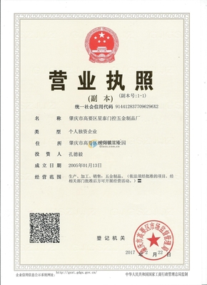 肇慶市高要區(qū)星泰門控五金制品廠投資咨詢服務(wù)全面解析