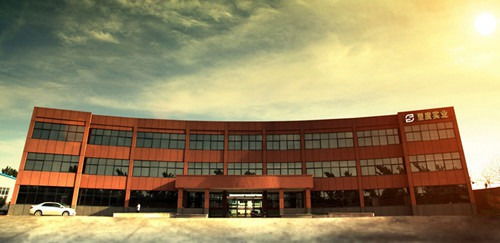 成都叉車塑料托盤價格與塑料托盤批發 實業投資的明智選擇